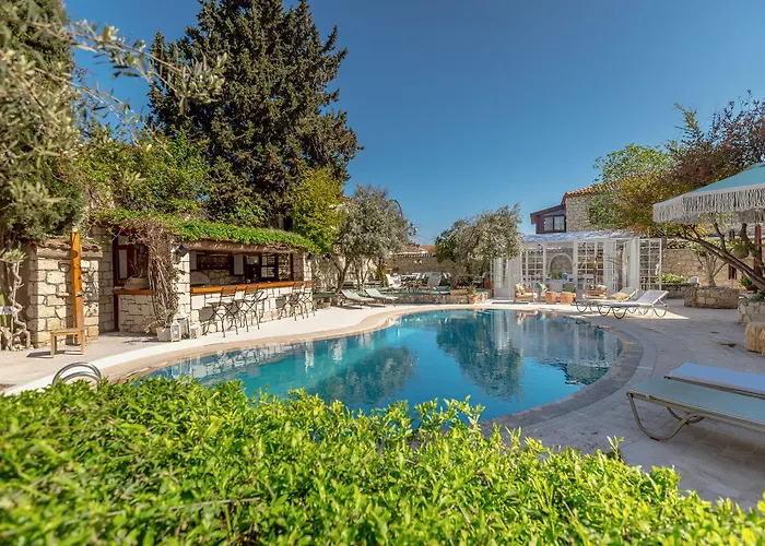 Hotel Panjur (adults Only)